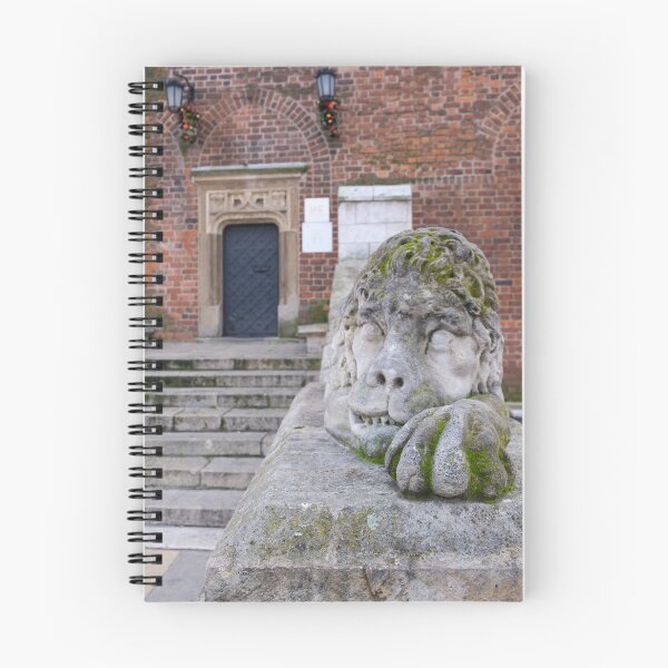 Item preview, 	Lion of the Old Town Hall Tower, Kraków, Poland designed and sold by OnceUponKrakow.