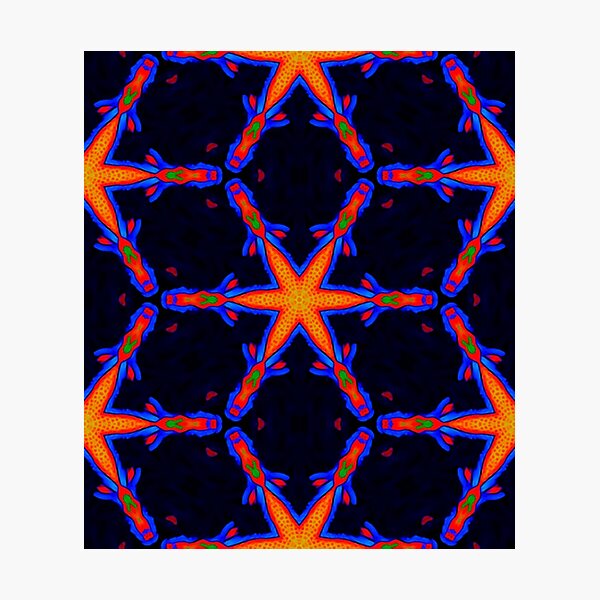 Photographic Print