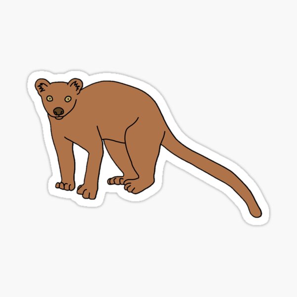Item preview, Fossa designed and sold by taylorrowan.