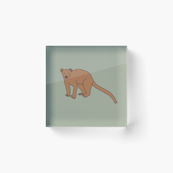 Item preview, Fossa designed and sold by taylorrowan.