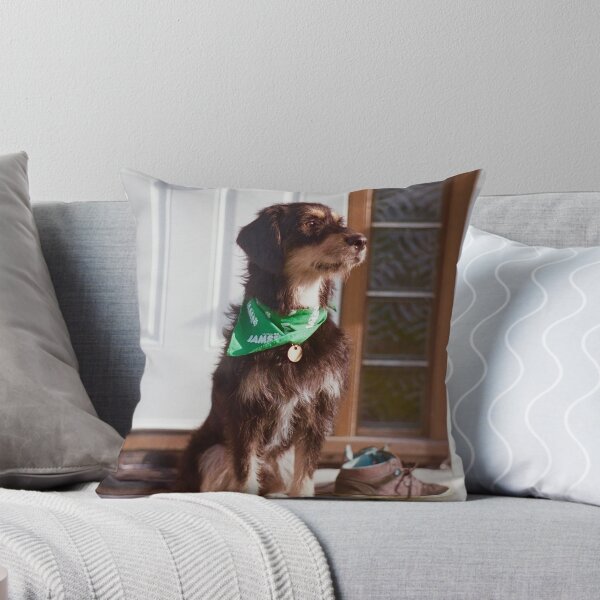 Item preview, 'Dexter on the steps' designed and sold by JC Den.