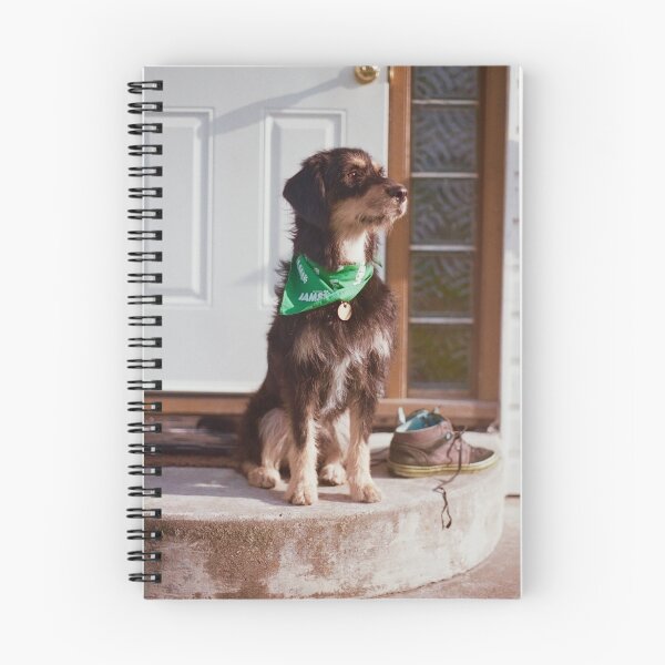 Item preview, 'Dexter on the steps' designed and sold by JC Den.