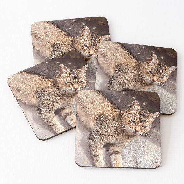 Item preview, Molly designed and sold by ANNETTE HAGGER.
