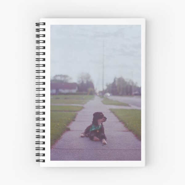 Item preview, 'Sidewalk' designed and sold by JC Den.