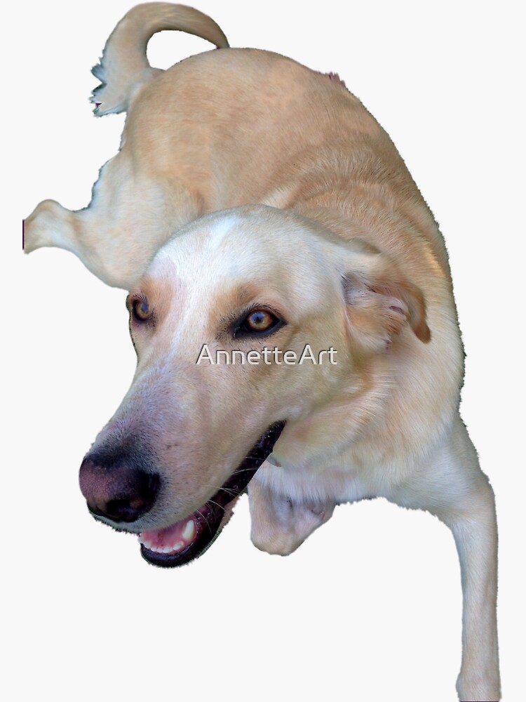 Thumbnail 3 of 3, Sticker, Yellow dog with lilac background designed and sold by AnnetteArt.