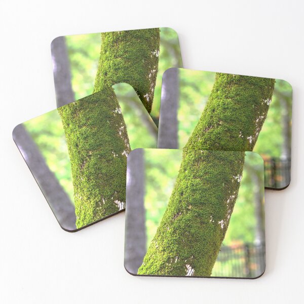 Item preview, Moss On A Tree designed and sold by LisaWootenPhoto.