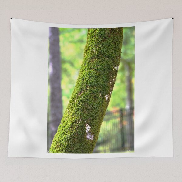 Item preview, Moss On A Tree designed and sold by LisaWootenPhoto.