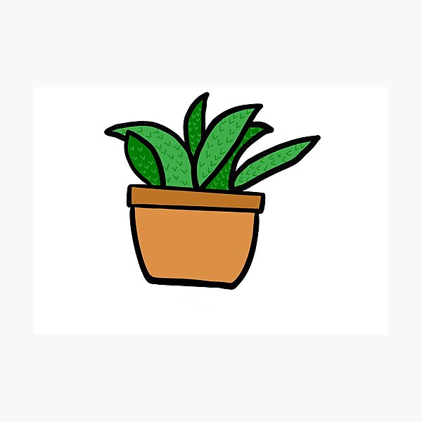 Item preview, terra cotta plant ! designed and sold by ElizabethFrosts.