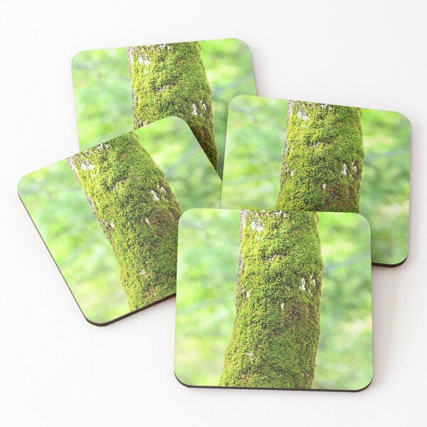 Item preview, Mossy Tree designed and sold by LisaWootenPhoto.