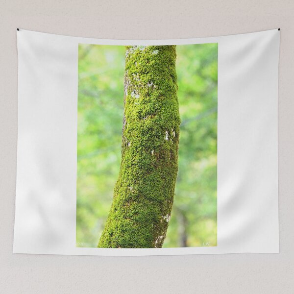 Item preview, Mossy Tree designed and sold by LisaWootenPhoto.