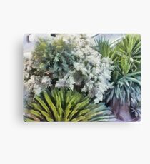 Shrubs Canvas Print