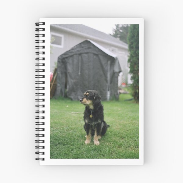 Item preview, 'Backyard' designed and sold by JC Den.