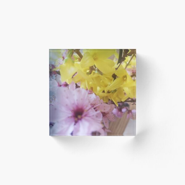 Item preview, Cherry blossoms and forythia blossoms designed and sold by haltobreni.