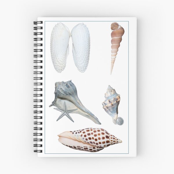 Item preview, She Sells Seashells designed and sold by Bonnie T.  Barry.