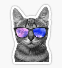 Raum Kitty Sticker