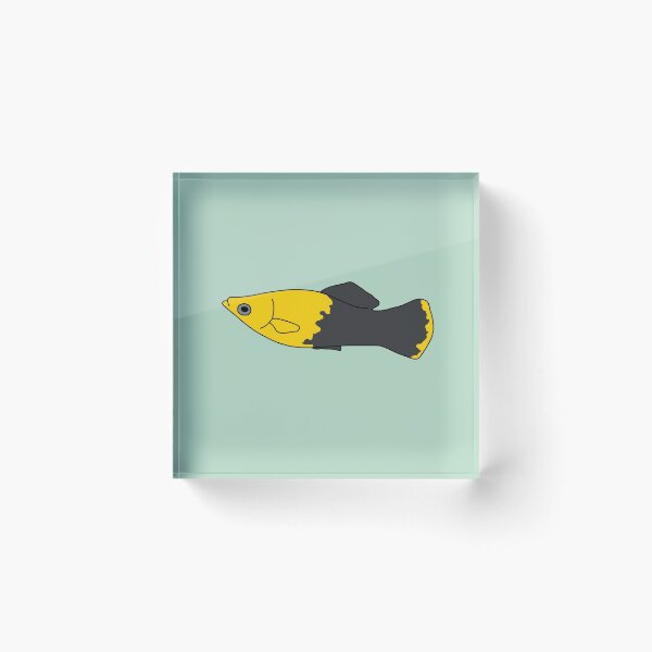 Item preview, Gold Doubloon Molly Fish designed and sold by taylorrowan.