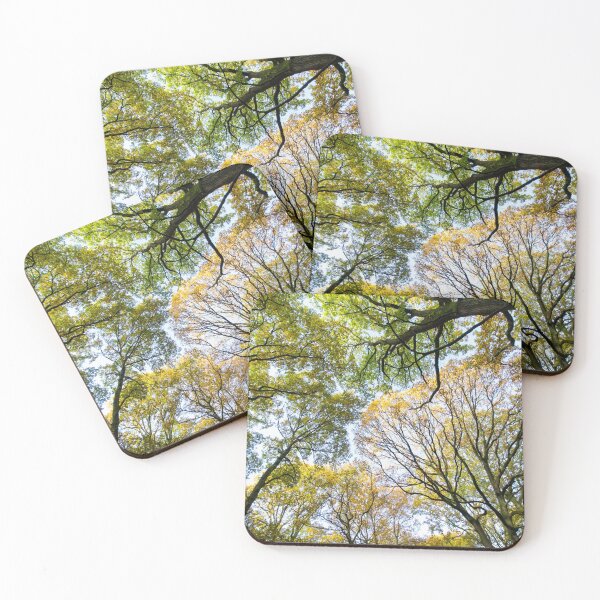 Item preview, Looking up into the trees.  Ancient wood near Ludlow designed and sold by HalcyonPrints.