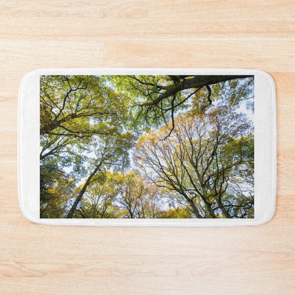 Item preview, Looking up into the trees.  Ancient wood near Ludlow designed and sold by HalcyonPrints.