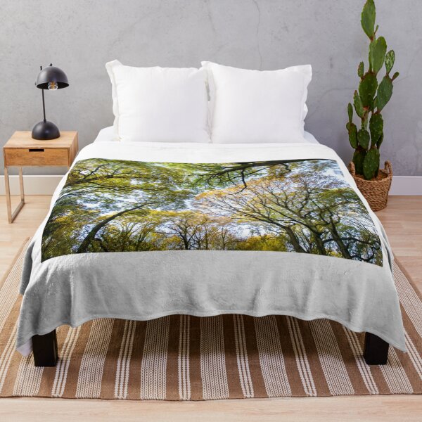 Item preview, Looking up into the trees.  Ancient wood near Ludlow designed and sold by HalcyonPrints.