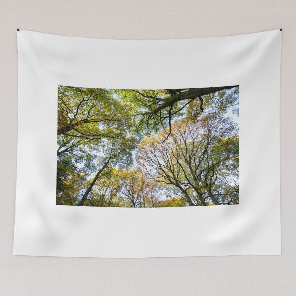 Item preview, Looking up into the trees.  Ancient wood near Ludlow designed and sold by HalcyonPrints.
