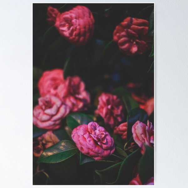 Item preview, Pink Flowers designed and sold by Aaron Wright.