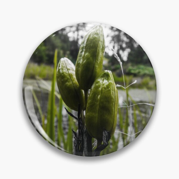 Item preview, Green Pods designed and sold by HalcyonPrints.