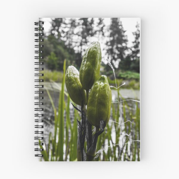 Item preview, Green Pods designed and sold by HalcyonPrints.