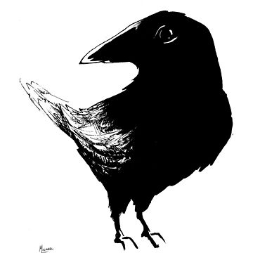 Artwork thumbnail, Black Bird by likemoyd
