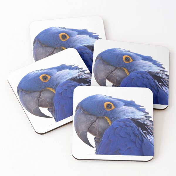 Item preview, Parrot Watching You designed and sold by gio-m.