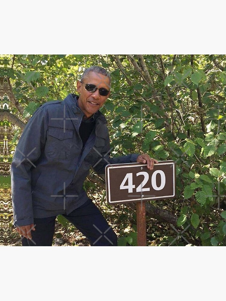 Disover 420 Obama Print Premium Matte Vertical Poster