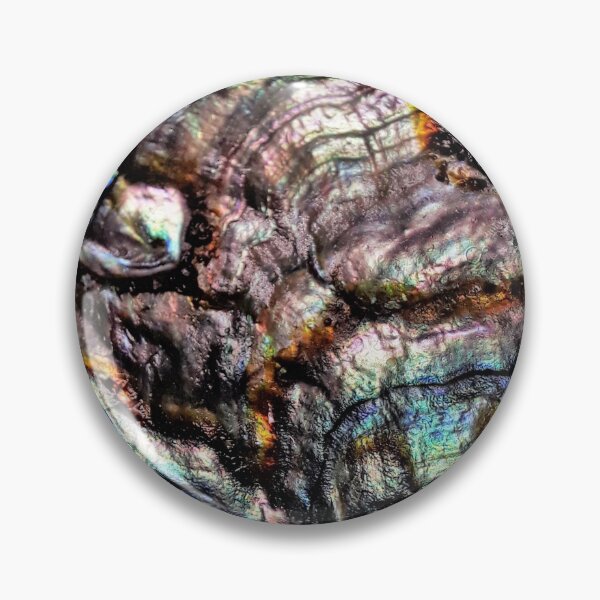 Item preview, Abalone shell designed and sold by highdeadesigns.