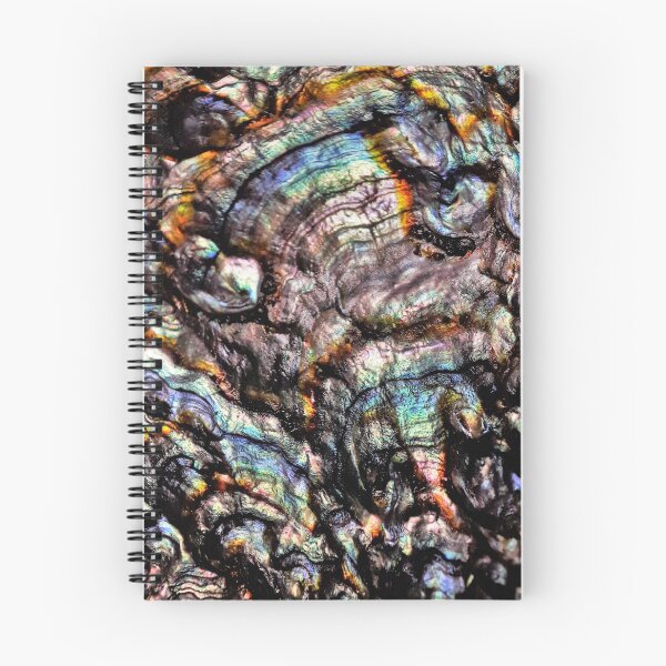 Item preview, Abalone shell designed and sold by highdeadesigns.