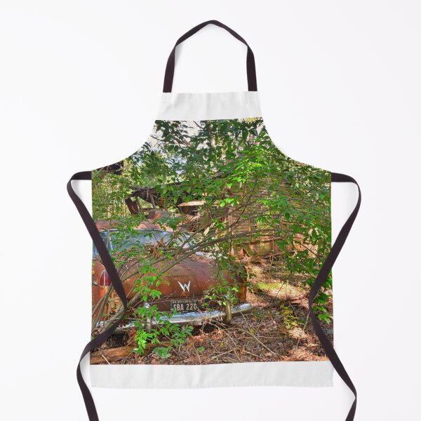 Item preview, Willy's Aero Abandoned designed and sold by LisaWootenPhoto.
