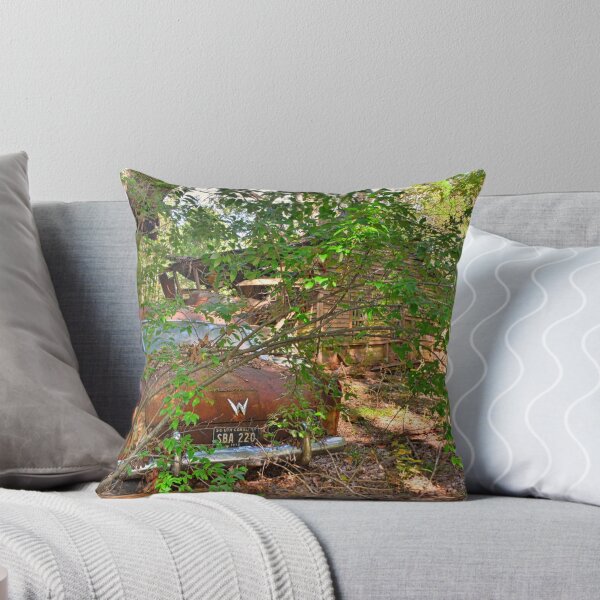 Item preview, Aero de Willy abandonado designed and sold by LisaWootenPhoto.