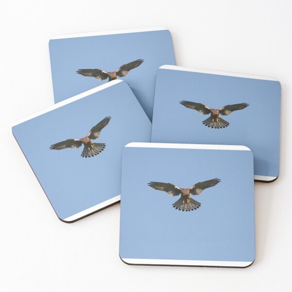 Item preview, Kestrel hovering designed and sold by cosmicma.