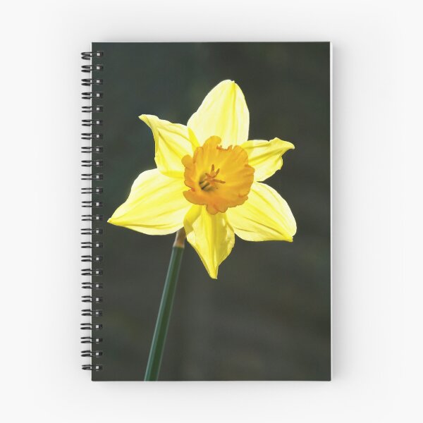 Item preview, Daffodil designed and sold by Dorset Girl.