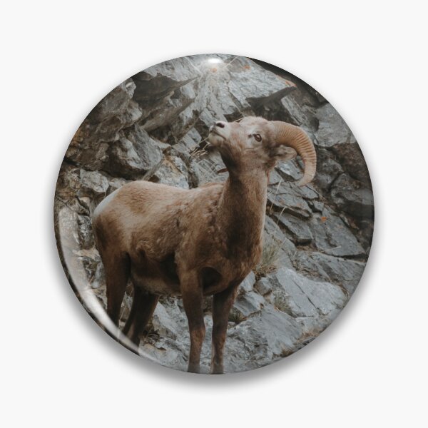 Item preview, Big Horned Sheep on Cliffside designed and sold by Tortelikeatiger.
