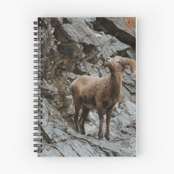 Item preview, Big Horned Sheep on Cliffside designed and sold by Tortelikeatiger.