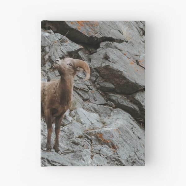 Item preview, Big Horned Sheep on Cliffside designed and sold by Tortelikeatiger.