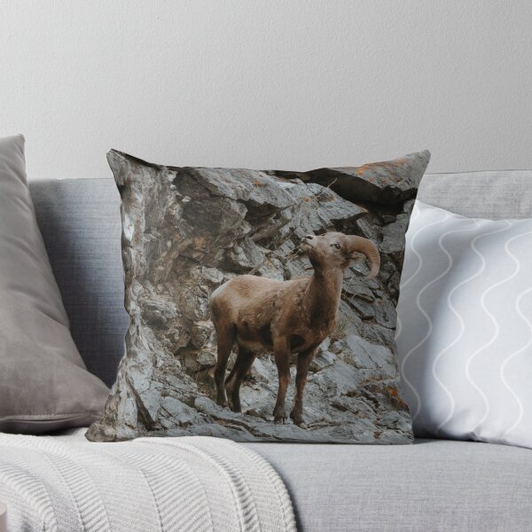 Item preview, Big Horned Sheep on Cliffside designed and sold by Tortelikeatiger.
