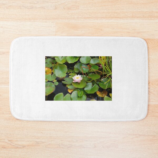 Item preview, A single water lily in bloom. designed and sold by ronsaunders47.