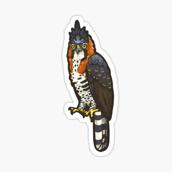 Item preview, Ornate Hawk-Eagle designed and sold by Eambo's Cave.