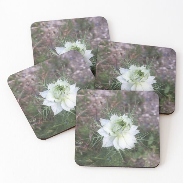 Item preview, White Flower Photo designed and sold by AlyssaSakura.