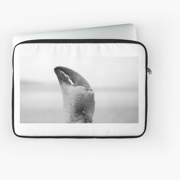 Beach portraits - Life at the beach Laptop Sleeve