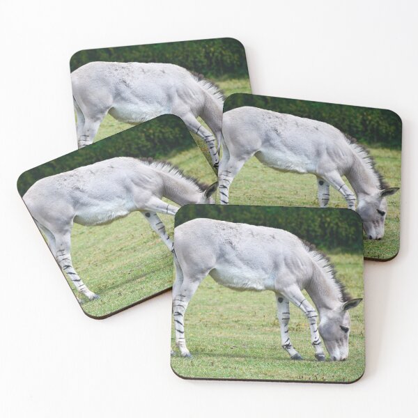 Item preview, African Wild Ass designed and sold by Ksswaden.