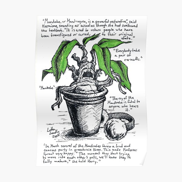 Mandrake Poster By Jigget Redbubble