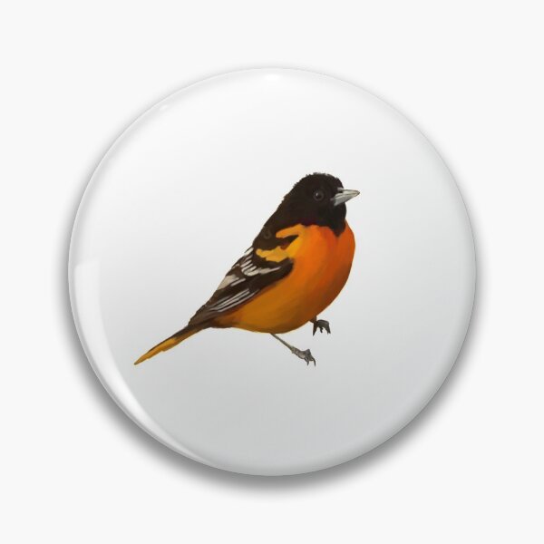 Artikelvorschau, Baltimore Oriole Bird Art entworfen und verkauft von Jennifer Ackerman.