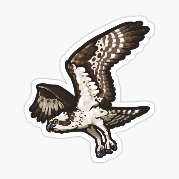 List of Birds - Birds Of Prey - Sticker