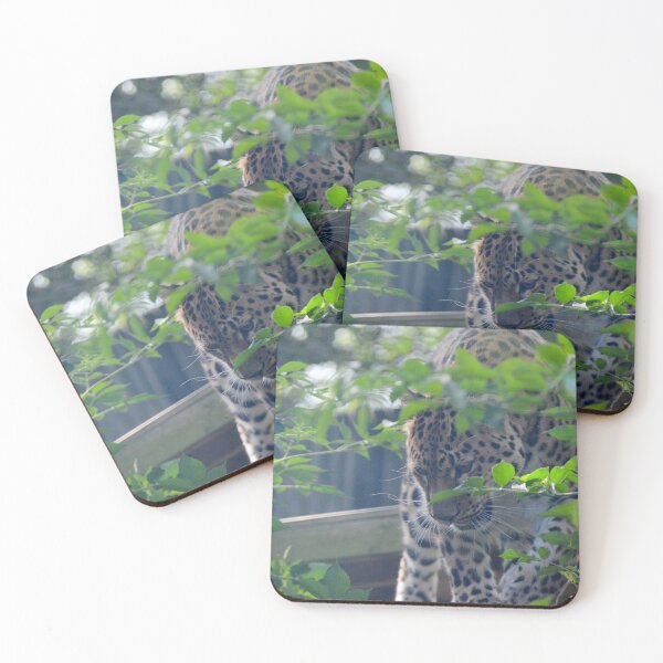Item preview, Amur Leopard in the Trees designed and sold by Ksswaden.