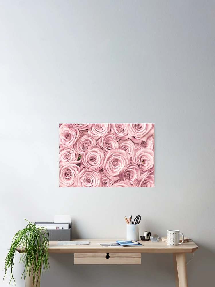 Thumbnail 2 of 3, Poster, Pink Roses designed and sold by click4collage.